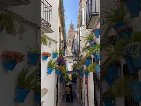 Calleja de las Flores, Córdoba