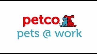 Pets @ Work (Petco)