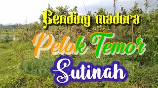 Download lagu Pelok temor'Sutinah' mp3