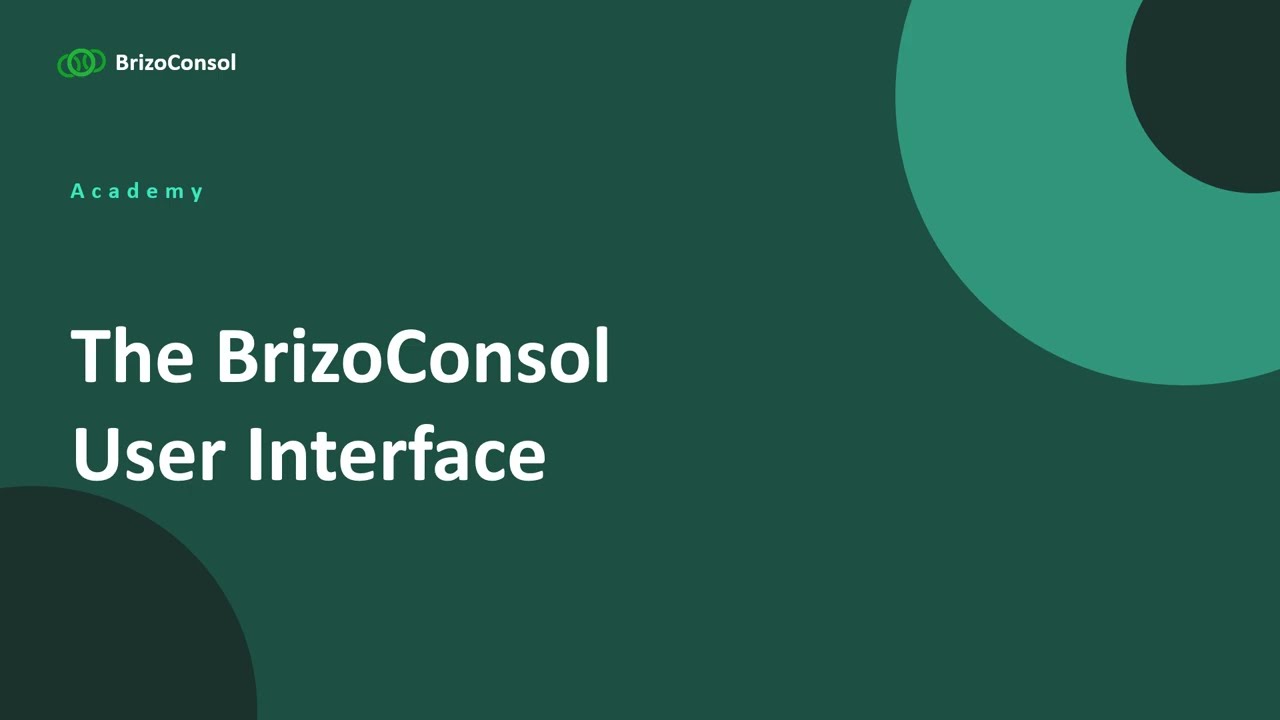 Getting to Know the BrizoConsol Interface