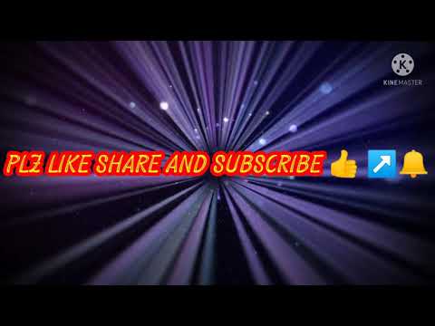 Pug Havey Rinkal Under Nose Puppy Available in Faizabad