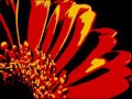 Effects In Windows Movie Maker 6 0 6