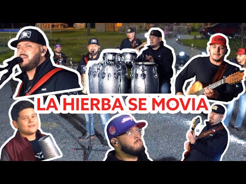 Zenzio - La Hierba Se Movia