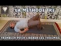 TRE - Les 7 Exercices étapes par étapes  - Thierry Zibi - Français