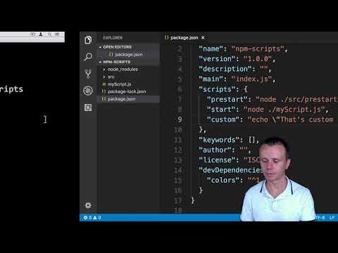 31 Custom NPM scripts