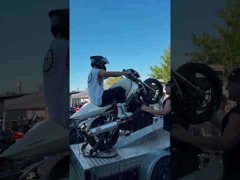 Wheelies sind einfach nur geil 🔥 #motorrad #wheelie #wheeliesimulator