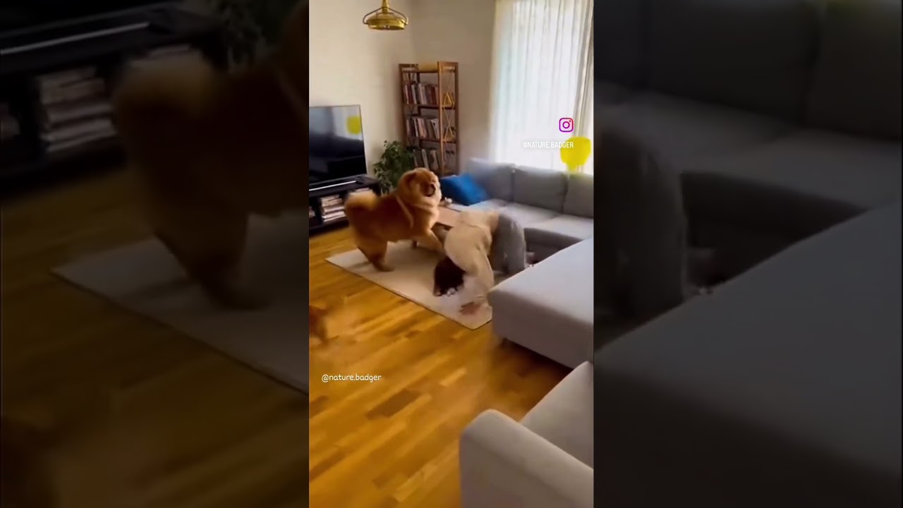 💨 Cleared for Takeoff 🤣