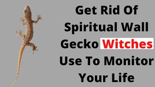 Get Rid Of Spiritual Wall Gecko Witches Use To Monitor Your Life