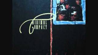 Minimal Compact - New Clear Twist