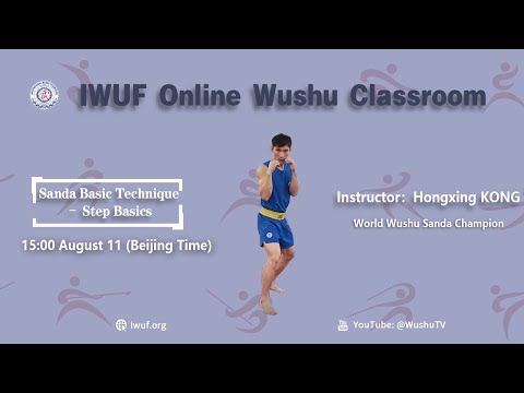 43. Sanda Basic Technique - Step Basics