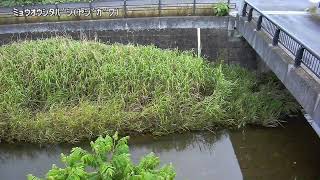 明王下橋映像監視局