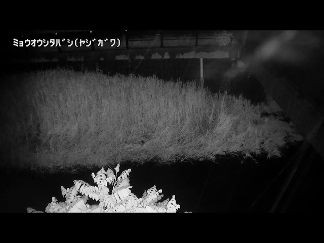 明王下橋映像監視局