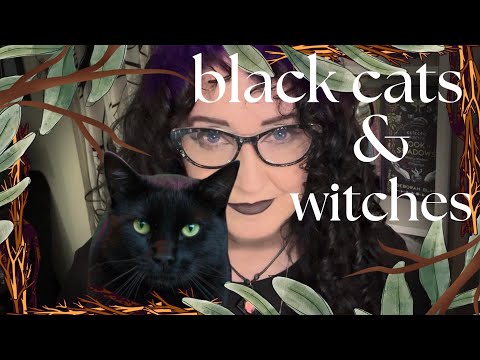 Cat Magick Part 1: The History and Folklore of Black Cats and Witches