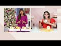 Josie Maran Argan Whipped Sugar Balm Body Scrub 10oz Duo On QVC