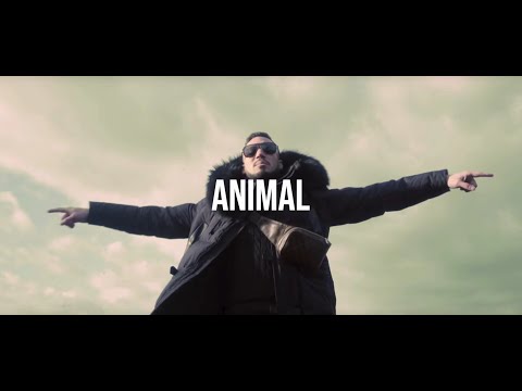 [FREE] "Animal" -  Haval x Einar x Macky Type Beat | Guitar Instrumental (Prod. DY)