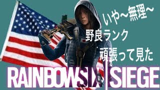 Fight of Crazy night 「レイボーシックス・シージ」