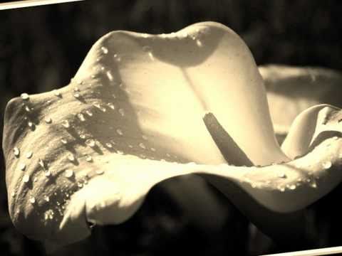 Dans Mes Reves k'lma.wmv