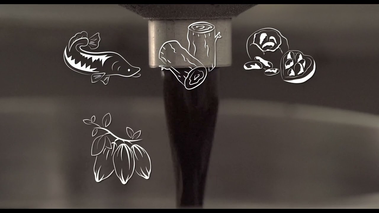 Áreas Protegidas  I  Fundação Amazônia Sustentável