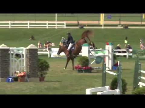 Video of SKARA GLEN'S DOLPHIN ridden by PAUL O'SHEA from ShowNet!