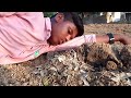 Fighting Short Video Gali Boy S PMR