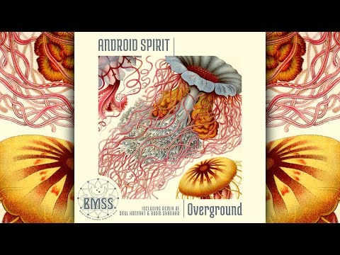 Soul Kontakt & Boom Shankar - Simulated Reality (Android Spirit Remix)