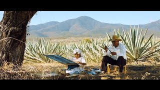 Zoho: Hecho en India. Hecho para el Mundo #2