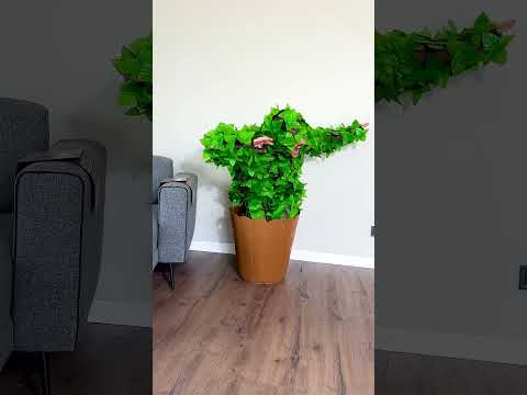 FUNNY CATS 😂 #shorts