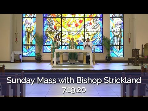 Click to Watch the Celebrate Sunday Mass With Bishop Strickland - 7.19.20	 video
