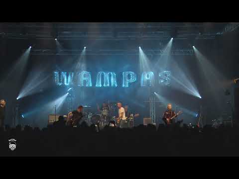 LIVE : Les Wampas - C'est politique @ BetiZFest 2023 / Cambrai Punk Rock Festival