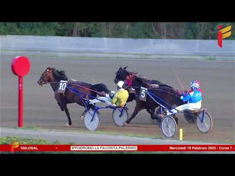 VII corsa del 15 febbraio 2023 - 4 Anni - Metri 2000 - Gentlemen proprietari