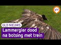 GLD Nieuws 2 mei 2023