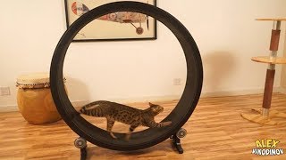 18 БЕЗУМНЫХ ВЕЩЕЙ С ALIEXPRESS, ОТ КОТОРЫХ ТЫ ОФИГЕЕШЬ / ЛУЧШИЕ ВЕЩИ С АЛИЭКСПРЕСС + КОНКУРС