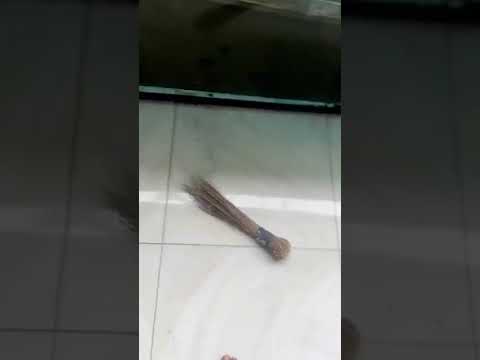 2 Bedroom up flat @Off Pedro Road Shomolu Lagos