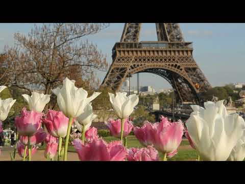 Tatiana Eva Marie & The Avalon Jazz Band - April in Paris [Full Album Visualizer]