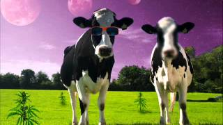 The Bronx - Around the Horn