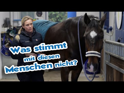 Tierärztin entsetzt über die Arbeit des Kollegen – Untersuchung bringt grauenvollen Befund ans Licht