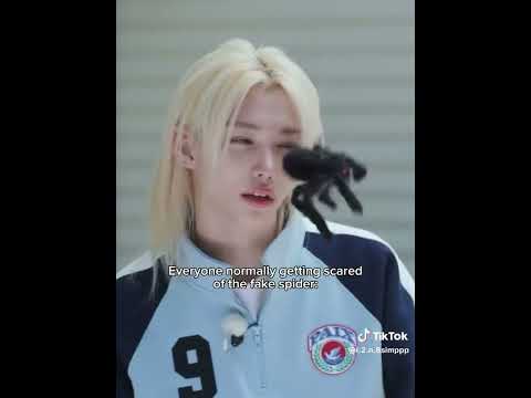 Skz Code ep 65 Stray kids vs spider prank 😂#keşfett #strykids #jeongin  #leeminho #jyp #skzcode