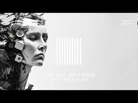 Blake Light, Tube & Berger - Data Compromised