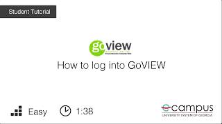 Logging into GoVIEW