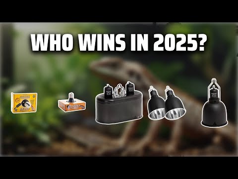 The Top 5 Best Reptile Dome Light in 2025 - Must Watch Before Buying!