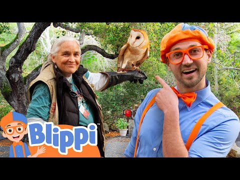 Blippi’s Animal Friends: Discovering an Owl and a Deer! 🦌🦉- Blippi | Educational Videos for Kids