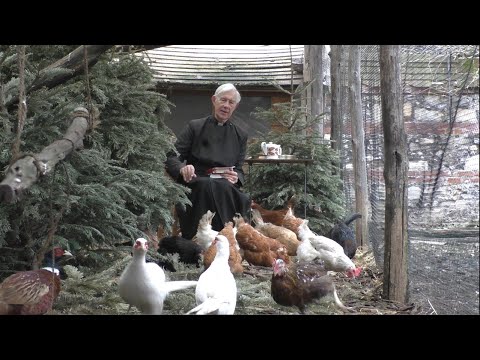 Morning Prayer – Monday, 24th January 2022