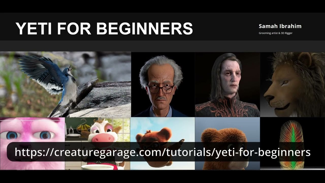 Course overview (Yeti for Beginners)