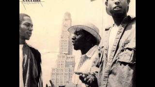 Reflectio Eternal Feat. Mos Def &amp; Mr. Man - Fortified Live (Dirty Original)