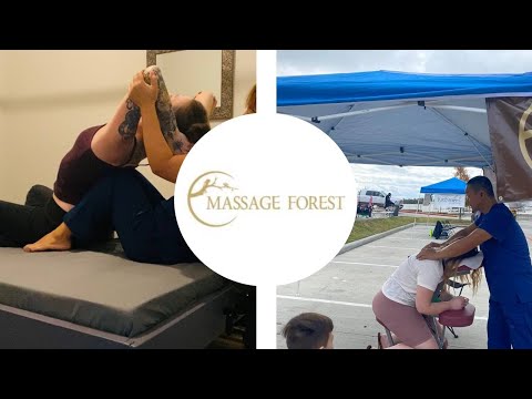 YouTube Video 1