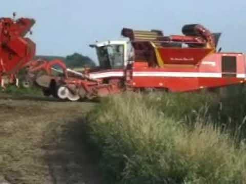 Van Bruwaene R en zn.: Aardappel rooien .