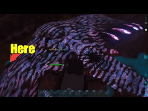 Solo Taming Desert Titan