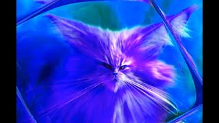 Week #200 - 07/13/22 - Freak The Cat Artist Session