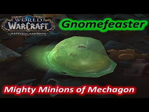 Mechagon Battle Pet Fight ~ Gnomefeaster