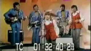 Silver Threads And Golden Needles - The Cowsills